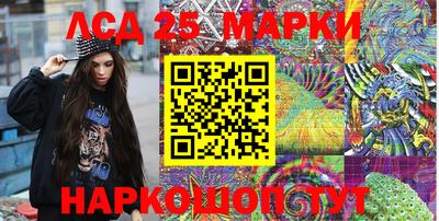 СК Новодвинск