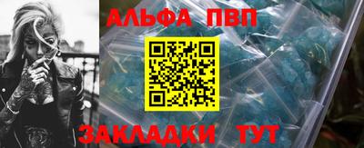 СК Новодвинск