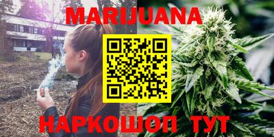 СК Новодвинск
