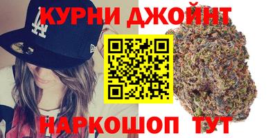 СК Новодвинск