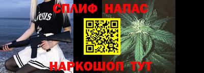СК Новодвинск