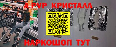 СК Новодвинск