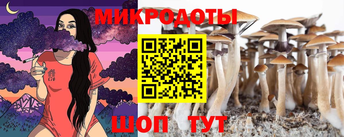 Чапаевск  Псилоцибиновые грибы Cubensis  Вход с VPN 